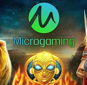 마이크로게이밍 슬롯